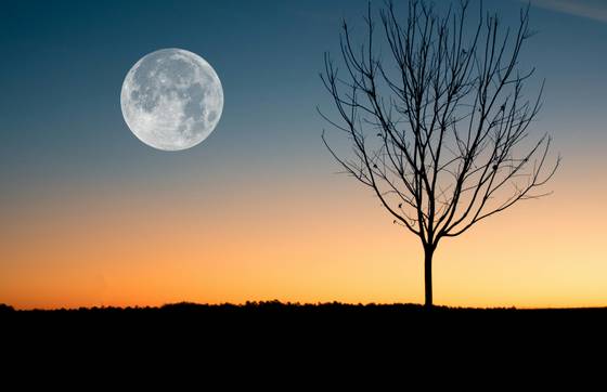 Moon Rising In Evening wallpaper for MacBook Pro 16-inch (3456x2234)